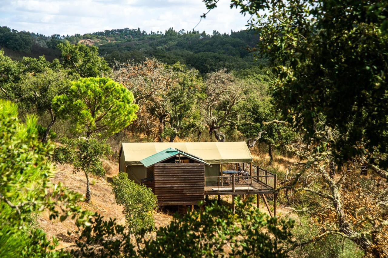 Figueirinha Ecoturismo Country house