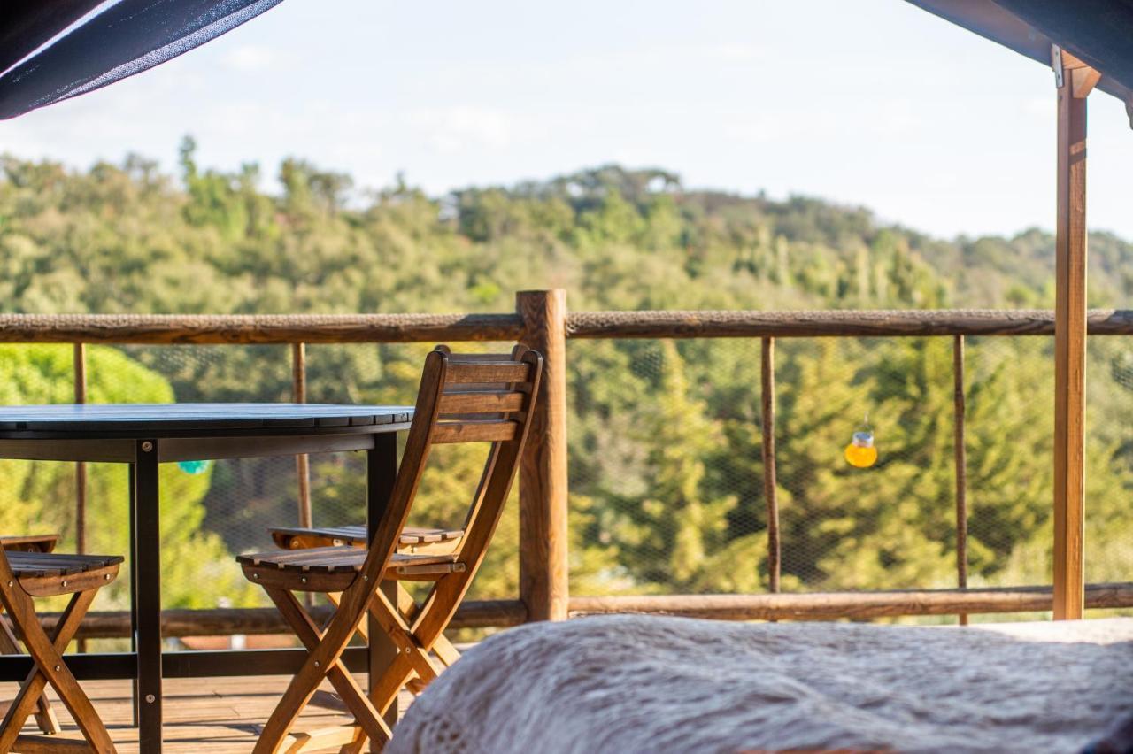 Figueirinha Ecoturismo Country house