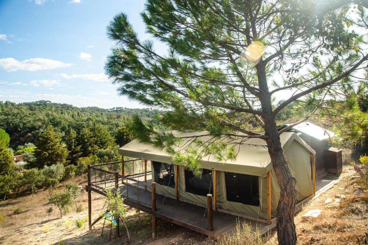 Figueirinha Ecoturismo Country house *