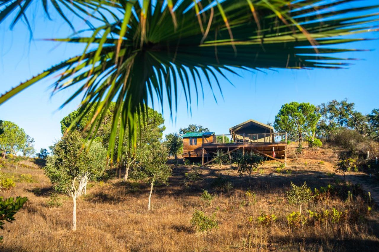 Figueirinha Ecoturismo Monte da Estrada