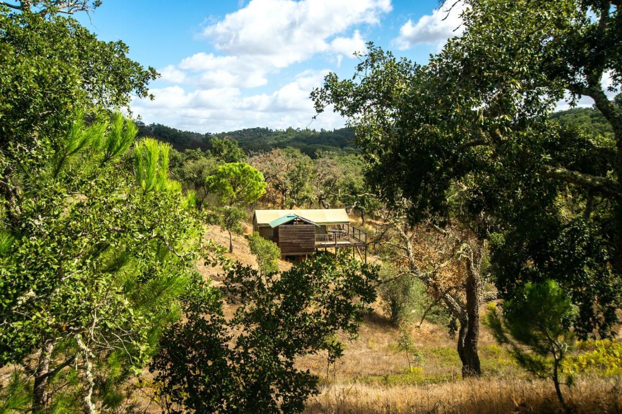 Figueirinha Ecoturismo Monte da Estrada