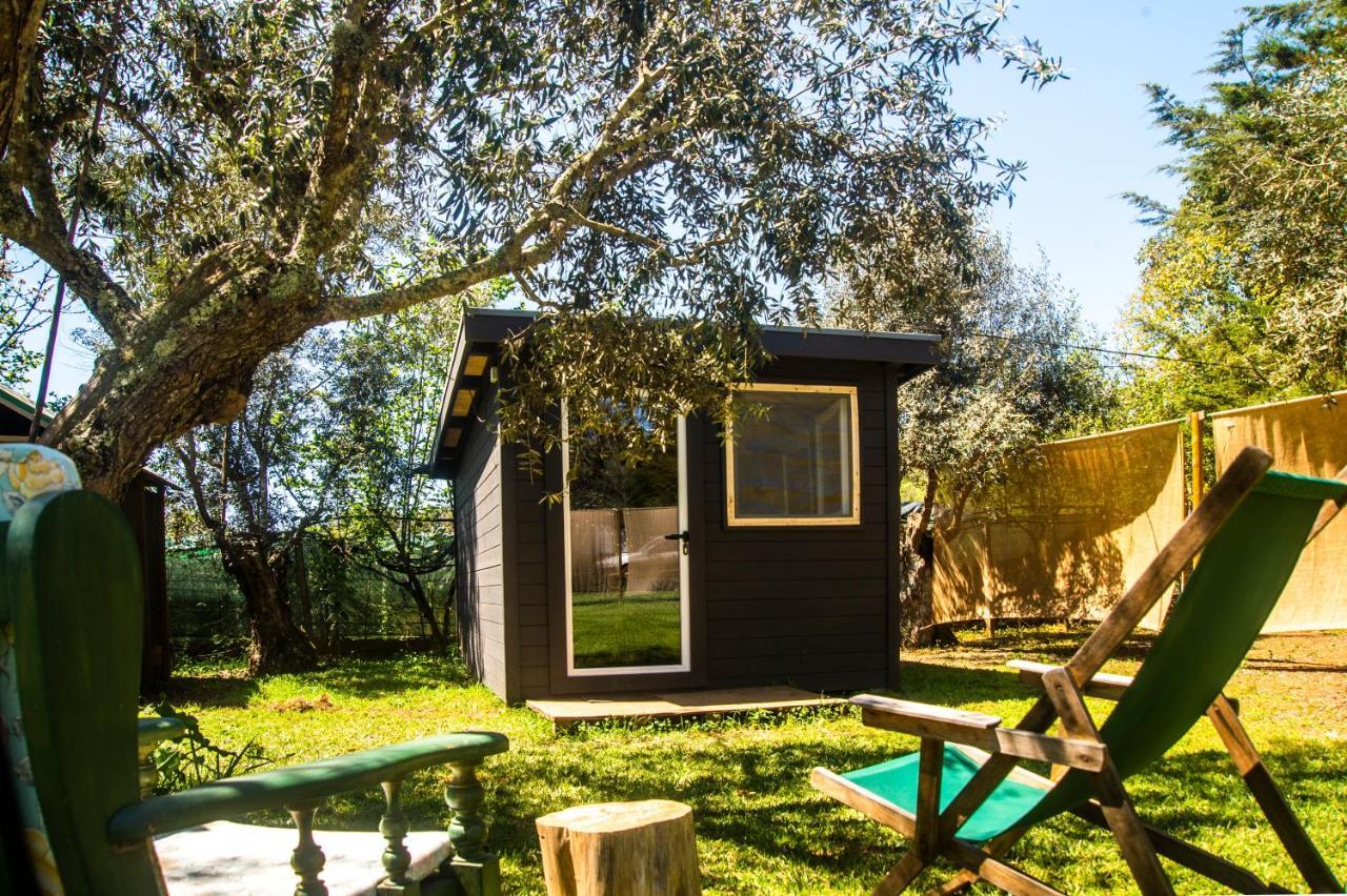 Figueirinha Ecoturismo Country house *