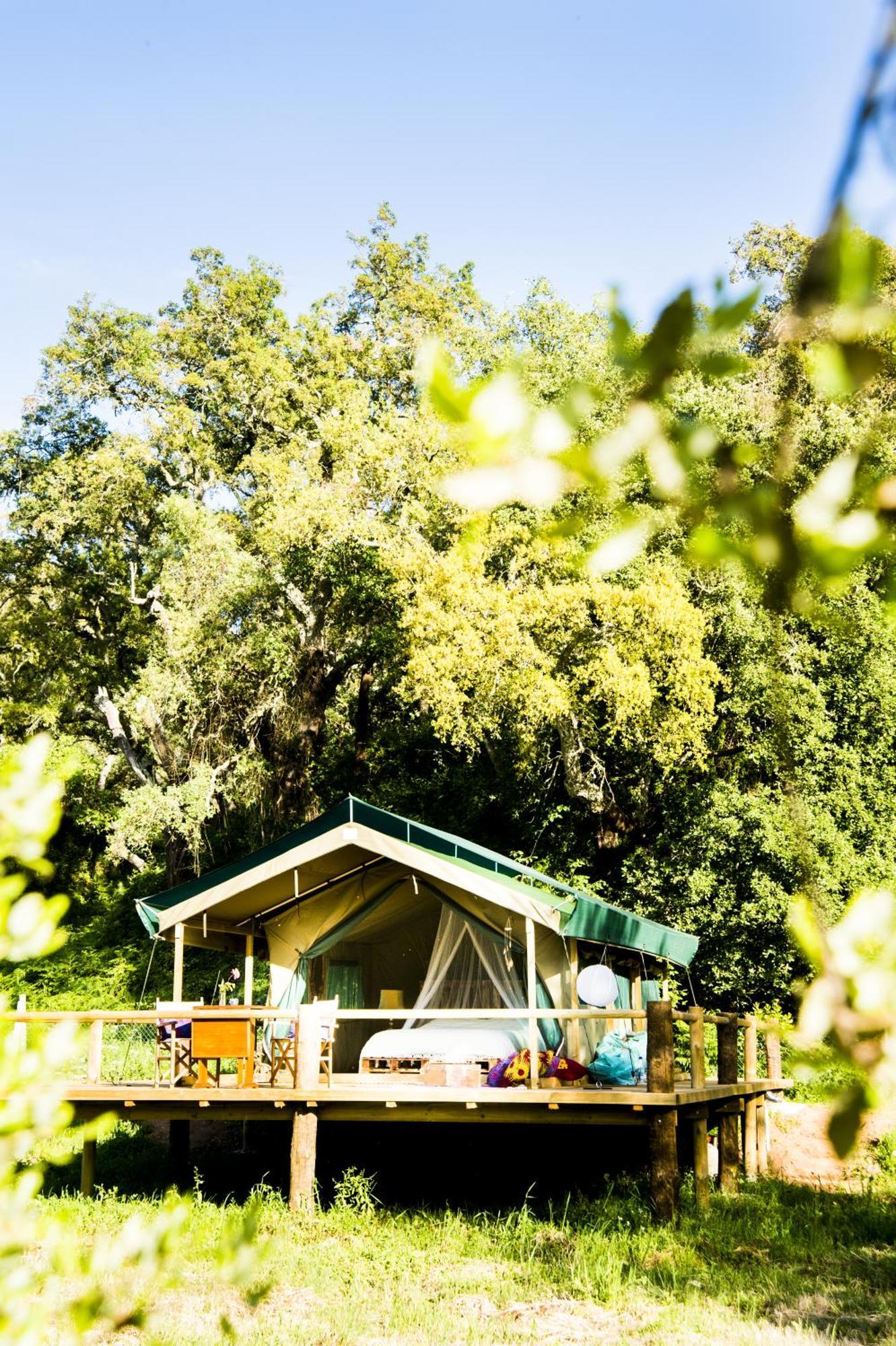Country house Figueirinha Ecoturismo *
