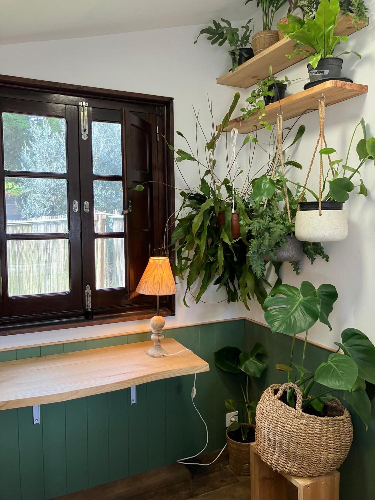 Figueirinha Ecoturismo Country house *